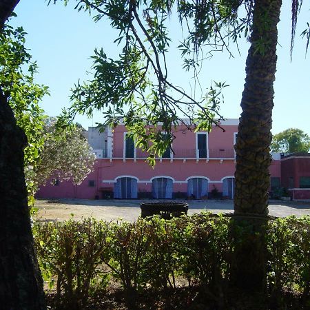 Tenuta Argiano Mesagne Kültér fotó