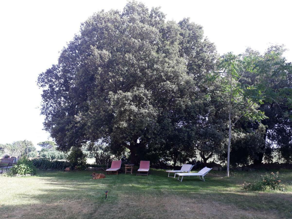 Tenuta Argiano Mesagne Kültér fotó