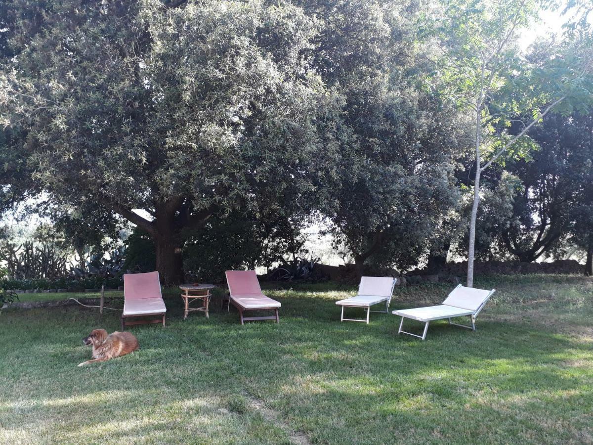 Tenuta Argiano Mesagne Kültér fotó
